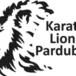 Karate Lions Pardubice
