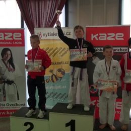Evropský pohár v karate - Grand Prix Ústí nad Labem 2013