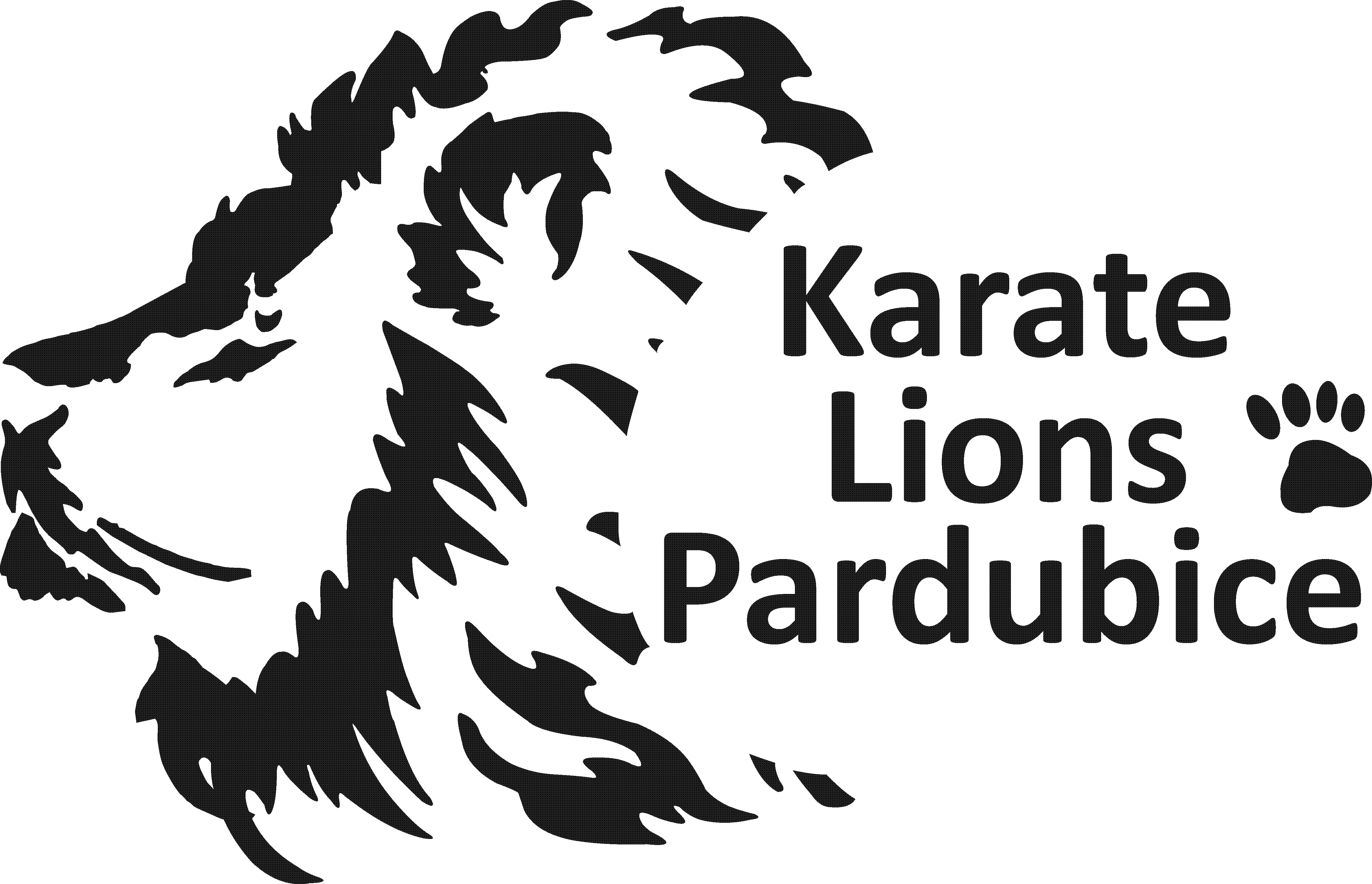 Karate Lions Pardubice