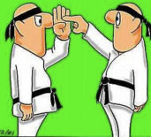 Soukromé hodiny Karate Lions Pardubice